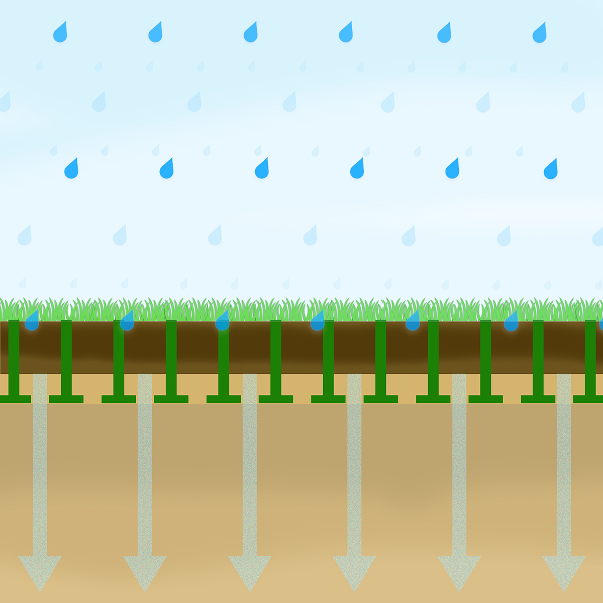 Sickergitter_Funktion